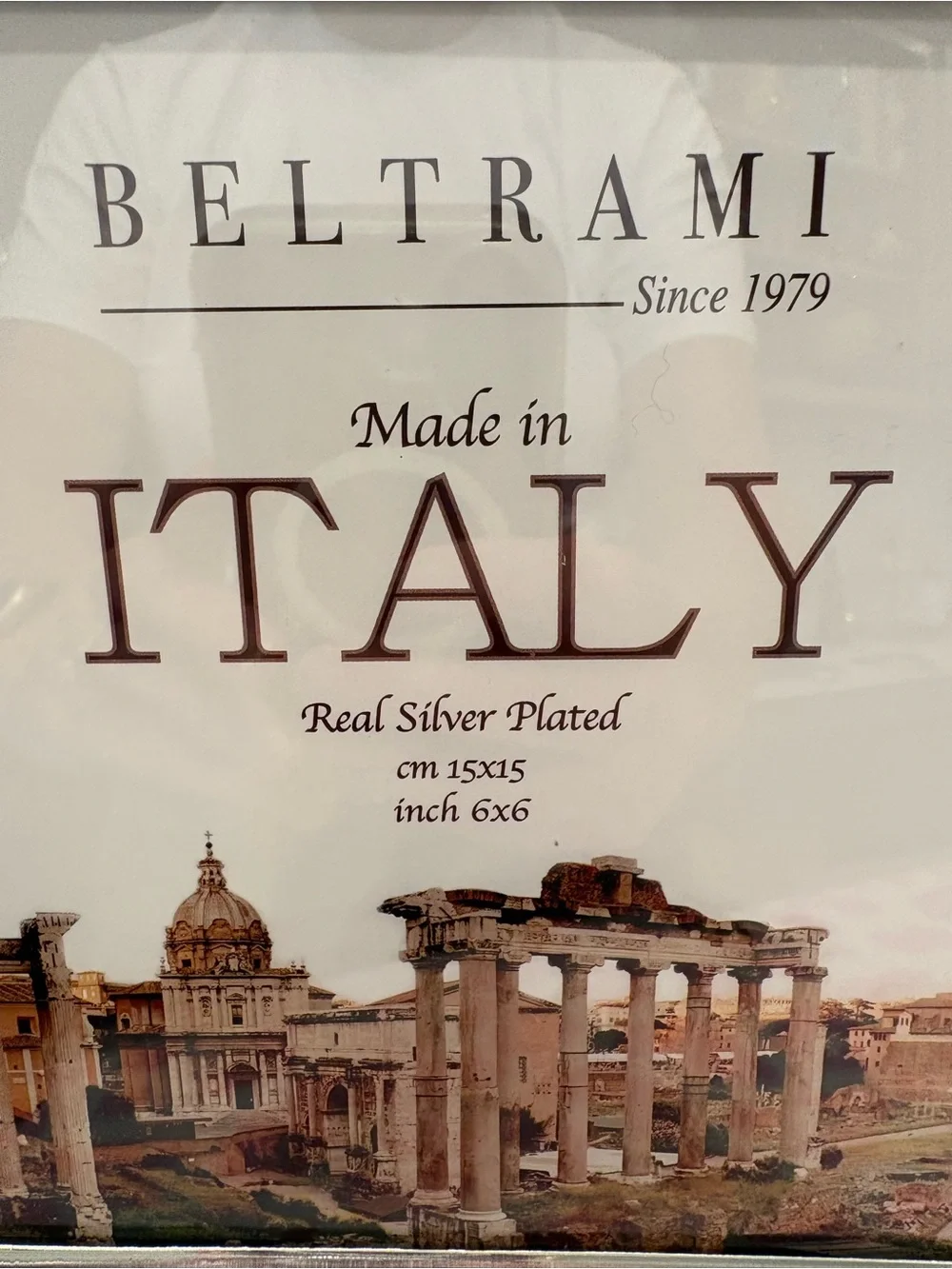 Beltrami Pink Striped Silver-Trim Picture Frame